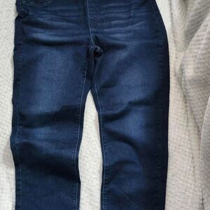 True Blue Women's skinny Navy and Blue Jeans XL 16x18